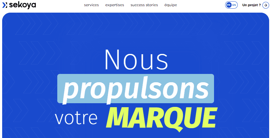 Sekoya | Performance Marketing Agency